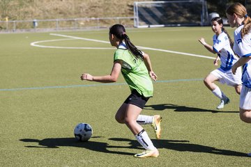 Bild 254 - wCJ Suederelbe - wBJ UH-Adler : Ergebnis: 7:1